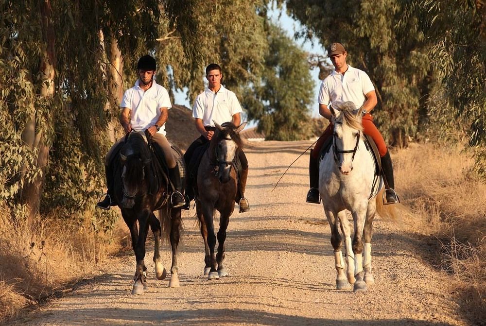 فندق ألبيرونافي  هيرداد دا مالهادينها نوفا المظهر الخارجي الصورة